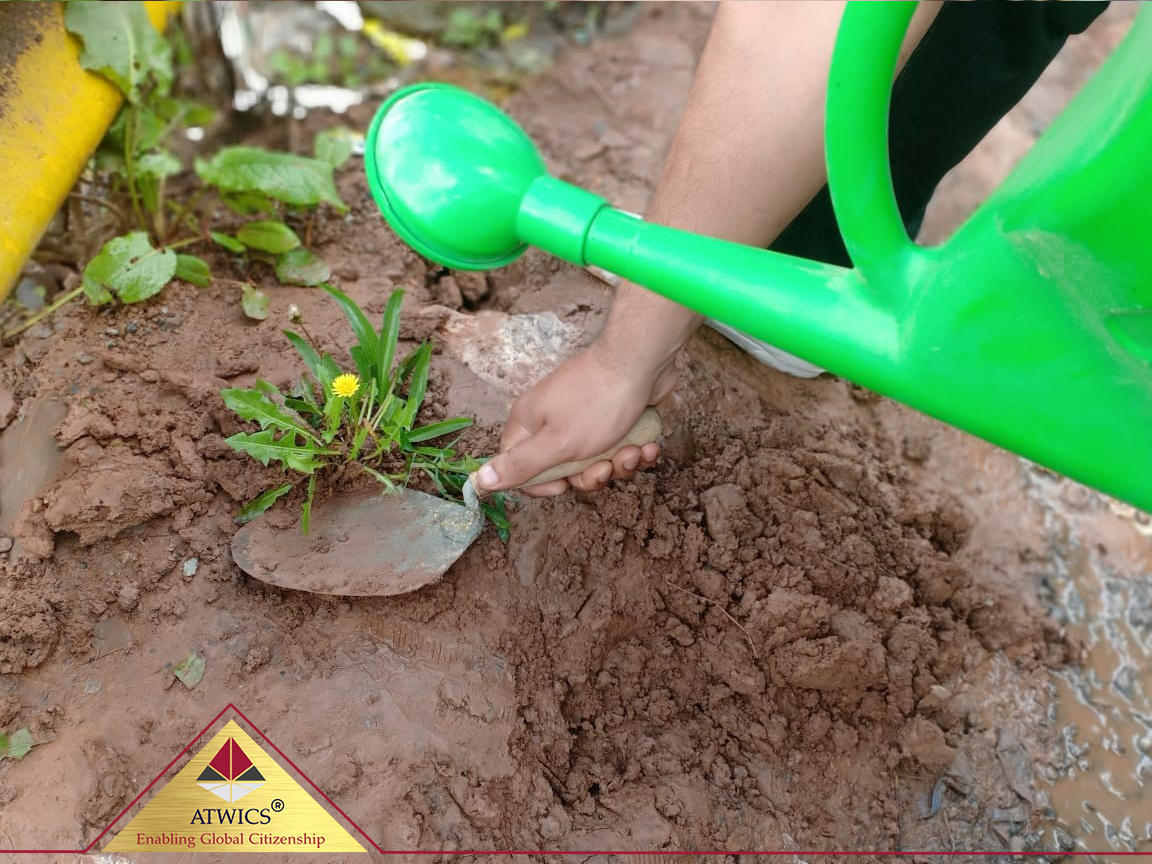 Planting Campaign