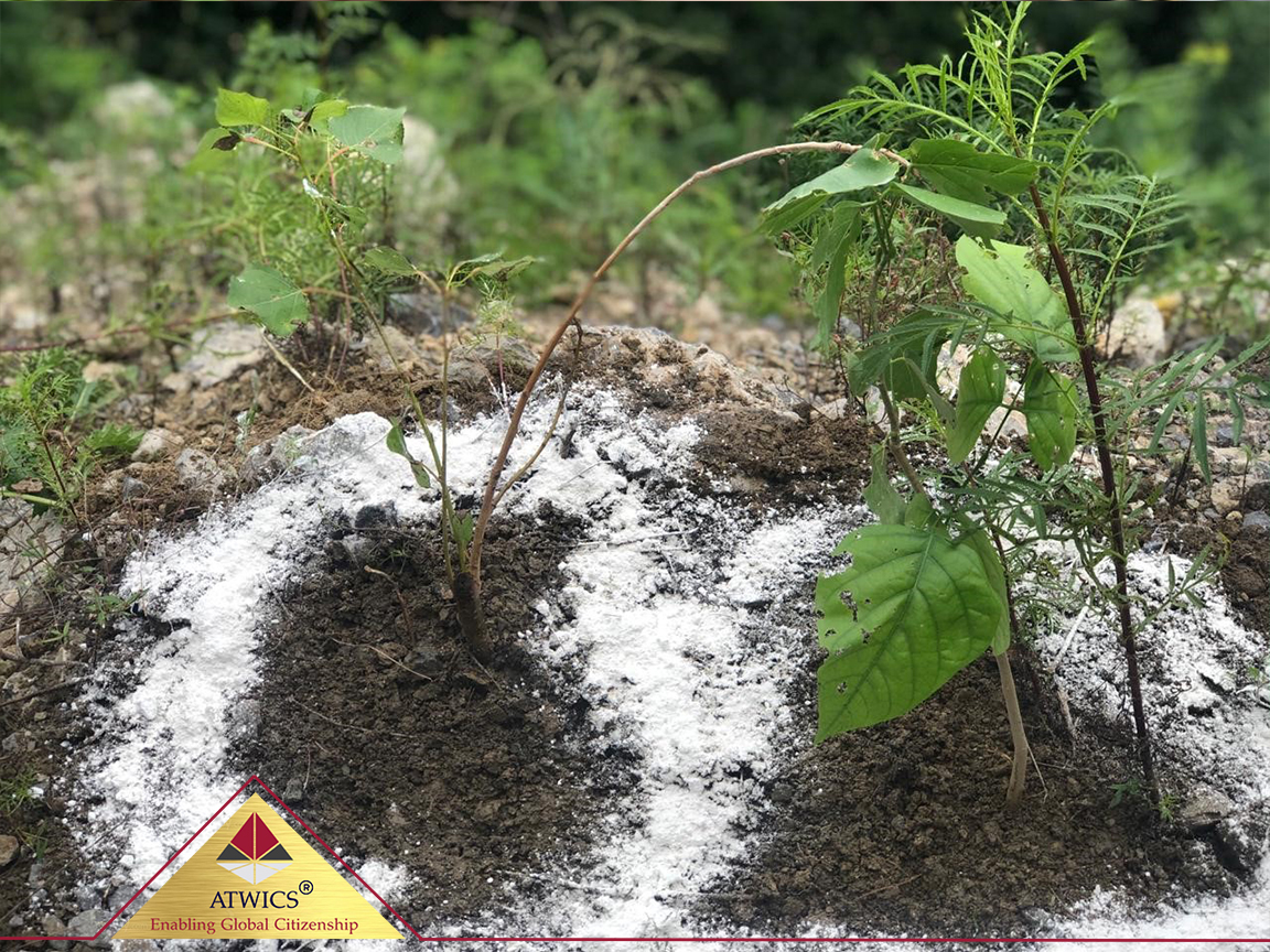Planting Campaign