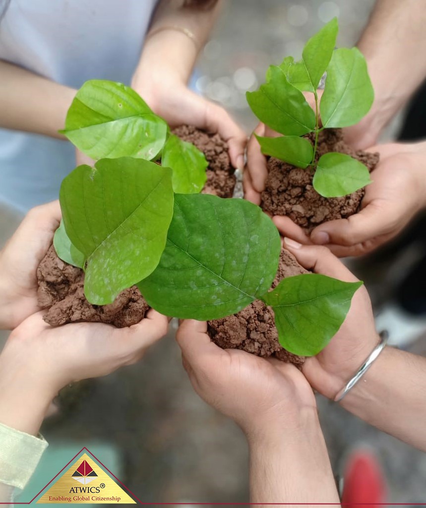 Planting Campaign